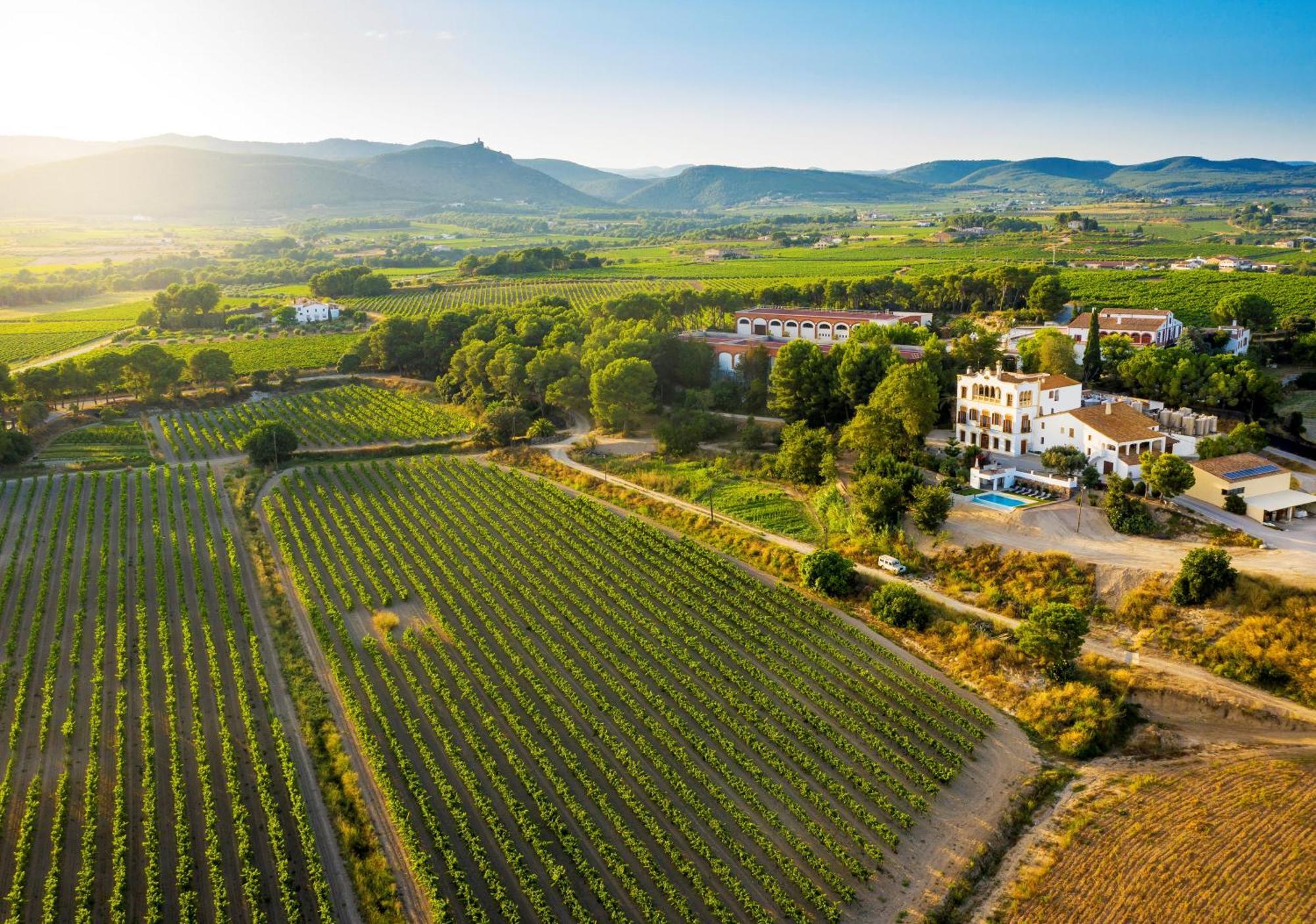 Bed and Breakfast Bolet Casa Modernista Castellvi de la Marca Exterior foto
