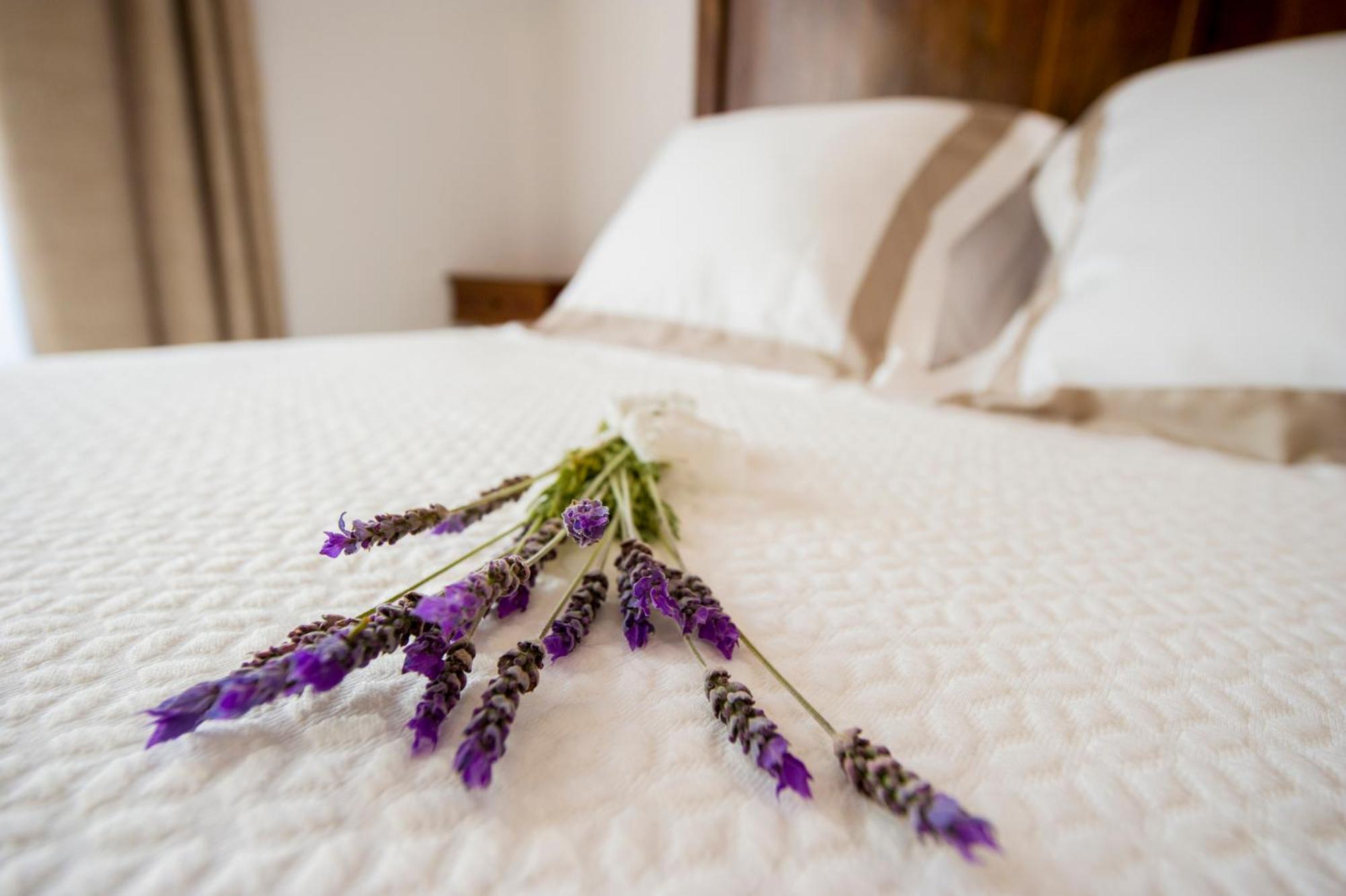 Bed and Breakfast Bolet Casa Modernista Castellvi de la Marca Exterior foto